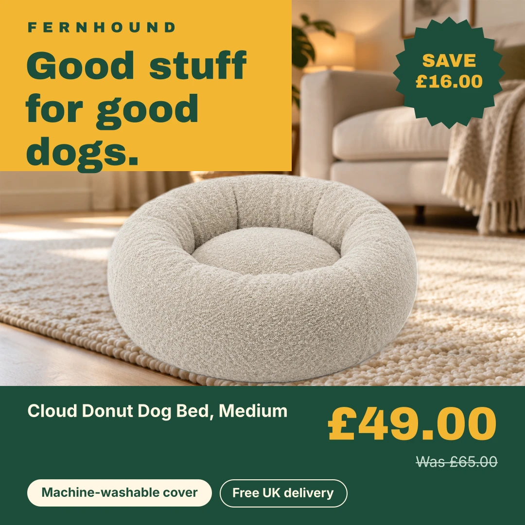 Pet brand design on a sale product: £49.00 with £65.00 struck through and a SAVE £16.00 sticker